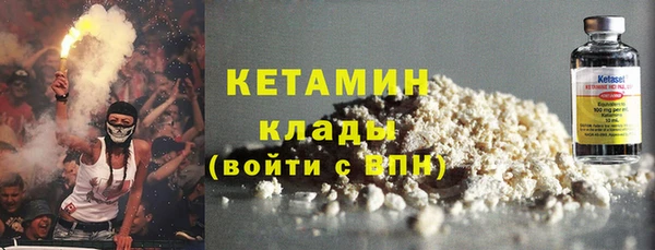 прущие грибы Новозыбков