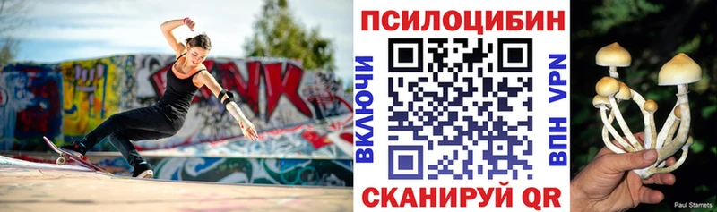 Галлюциногенные грибы Cubensis  Торопец 